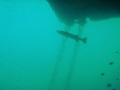   Barracuda SPM buoy  